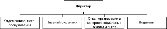 Структура ГКУ НО «Управление социальной защиты населения Воскресенского района»